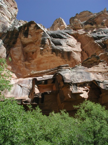 picture, little trip to the Grand Canyon of Arizona. Dripping spring trail.