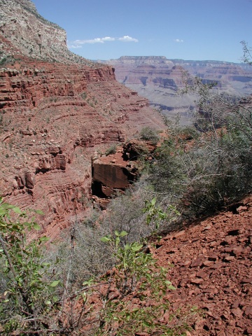 picture, little trip to the Grand Canyon of Arizona. Dripping spring trail.