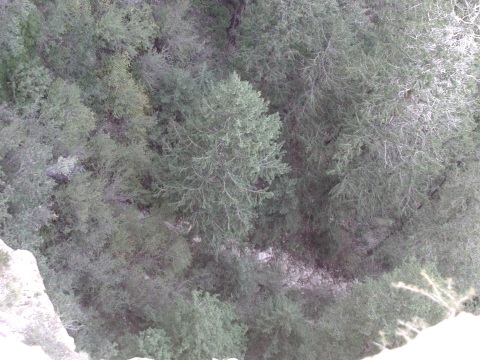 picture, little trip to the Grand Canyon of Arizona. Dripping spring trail.